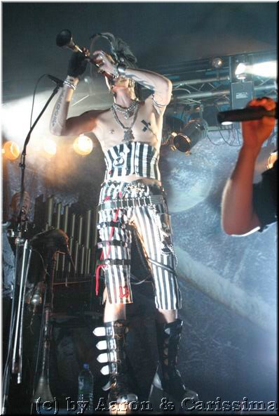 Tanzwut (28).JPG